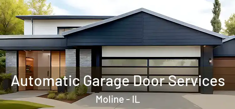  Automatic Garage Door Services Moline - IL