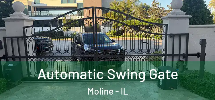  Automatic Swing Gate Moline - IL