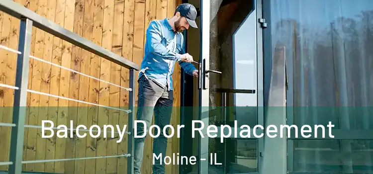  Balcony Door Replacement Moline - IL