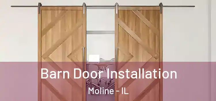 Barn Door Installation Moline - IL