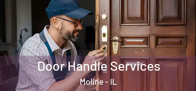 Door Handle Services Moline - IL