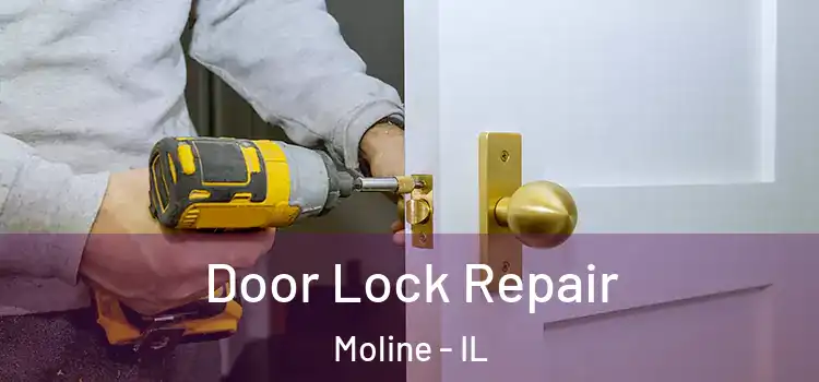 Door Lock Repair Moline - IL