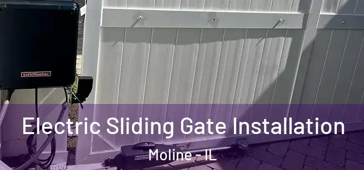  Electric Sliding Gate Installation Moline - IL