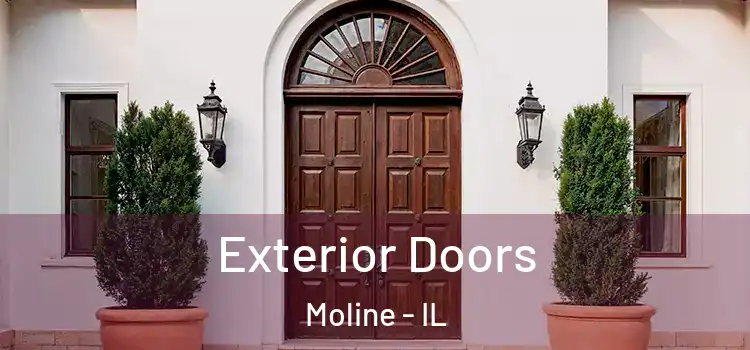  Exterior Doors Moline - IL