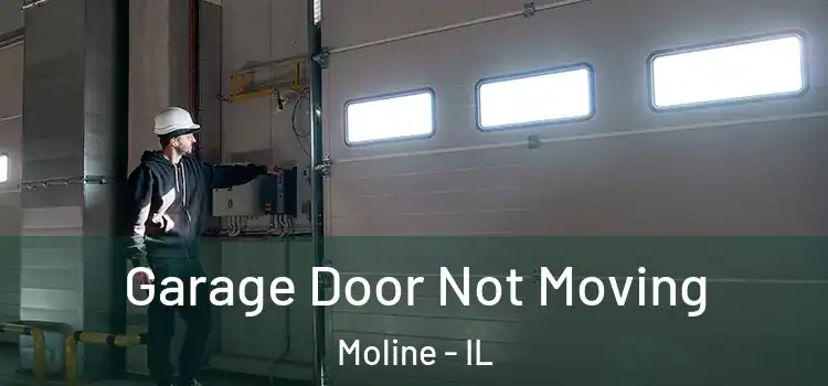  Garage Door Not Moving Moline - IL