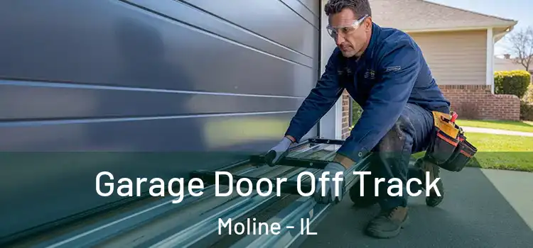  Garage Door Off Track Moline - IL