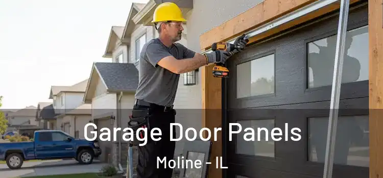  Garage Door Panels Moline - IL