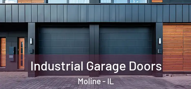  Industrial Garage Doors Moline - IL