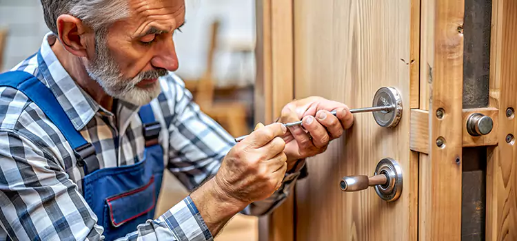 Mortise Replacement Lock Moline