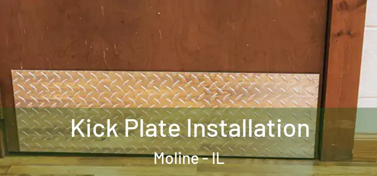 Kick Plate Installation Moline - IL