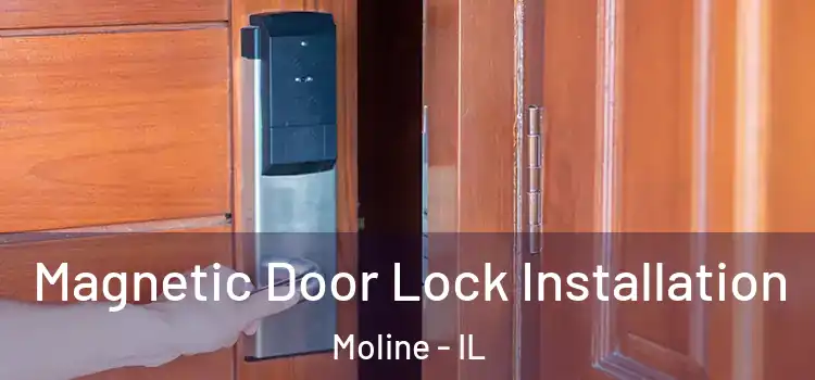  Magnetic Door Lock Installation Moline - IL