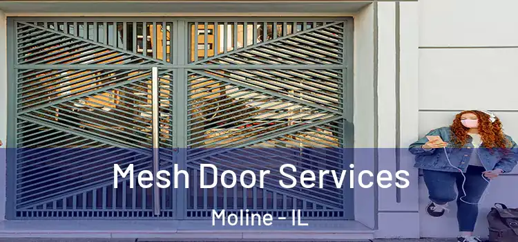 Mesh Door Services Moline - IL