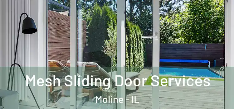 Mesh Sliding Door Services Moline - IL