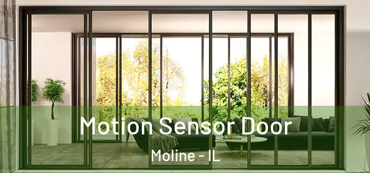  Motion Sensor Door Moline - IL