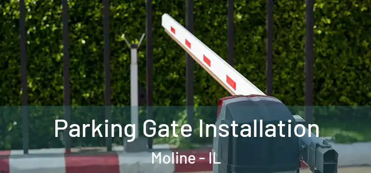 Parking Gate Installation Moline - IL
