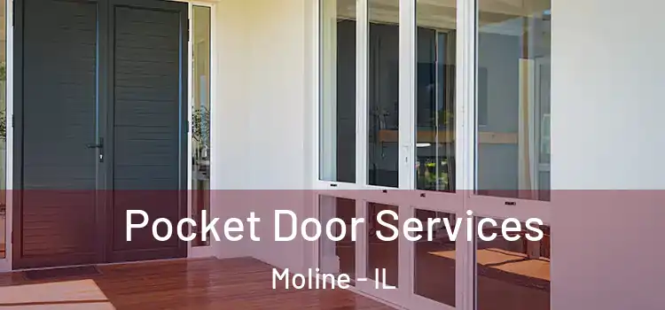 Pocket Door Services Moline - IL