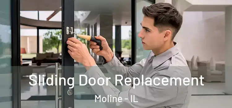 Sliding Door Replacement Moline - IL