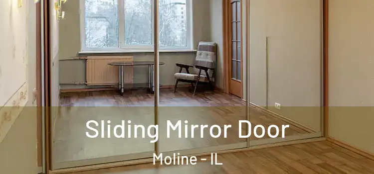  Sliding Mirror Door Moline - IL